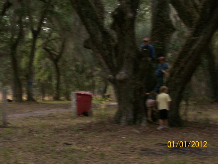 2012-Jan-02HGR4X4Croom 103